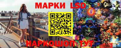 шишки Жуковский