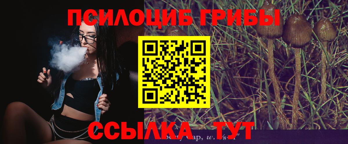 Майский  Псилоцибиновые грибы мицелий  Вход с VPN  где продают наркотики  Галлюциногенные грибы MAGIC MUSHROOMS 