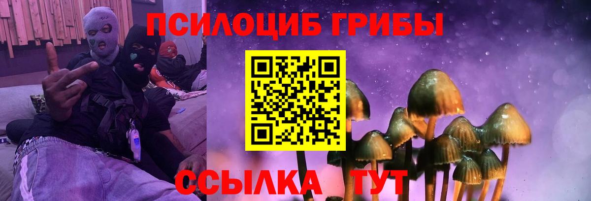Псилоцибиновые грибы Майский